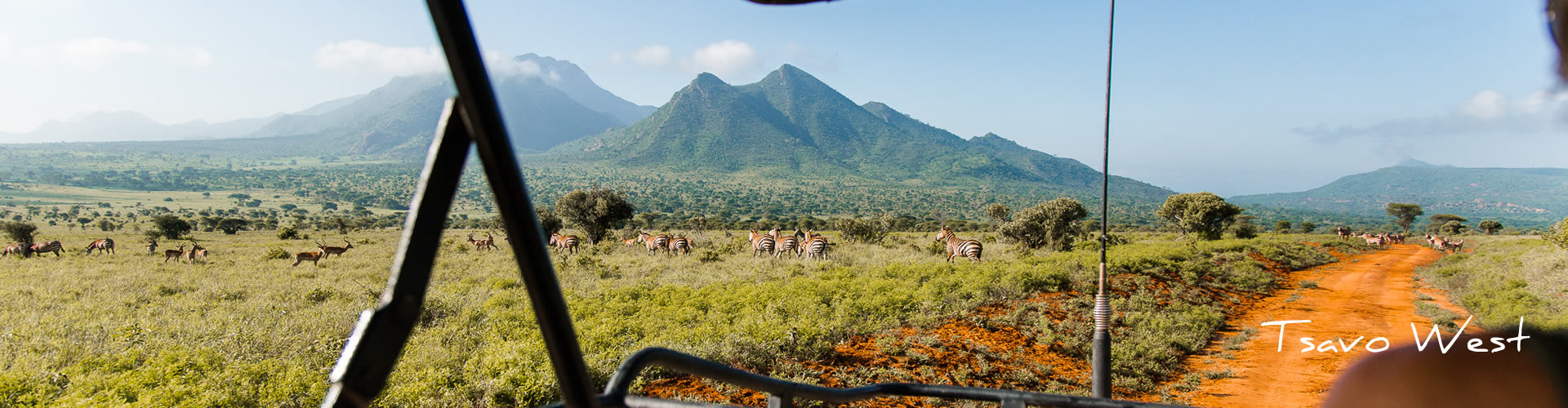 Tsavo - 3