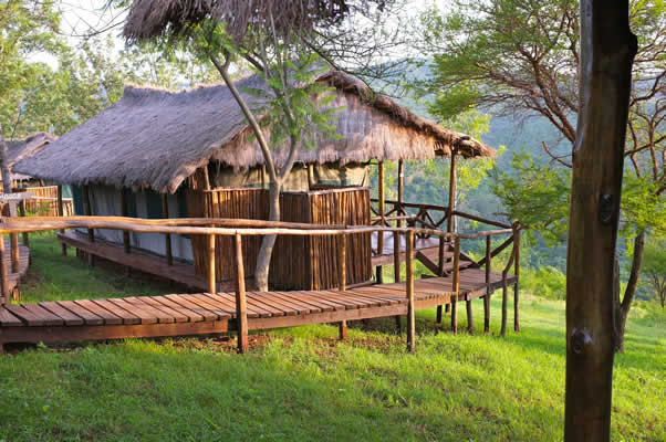 Ngorongoro Forest Lodge